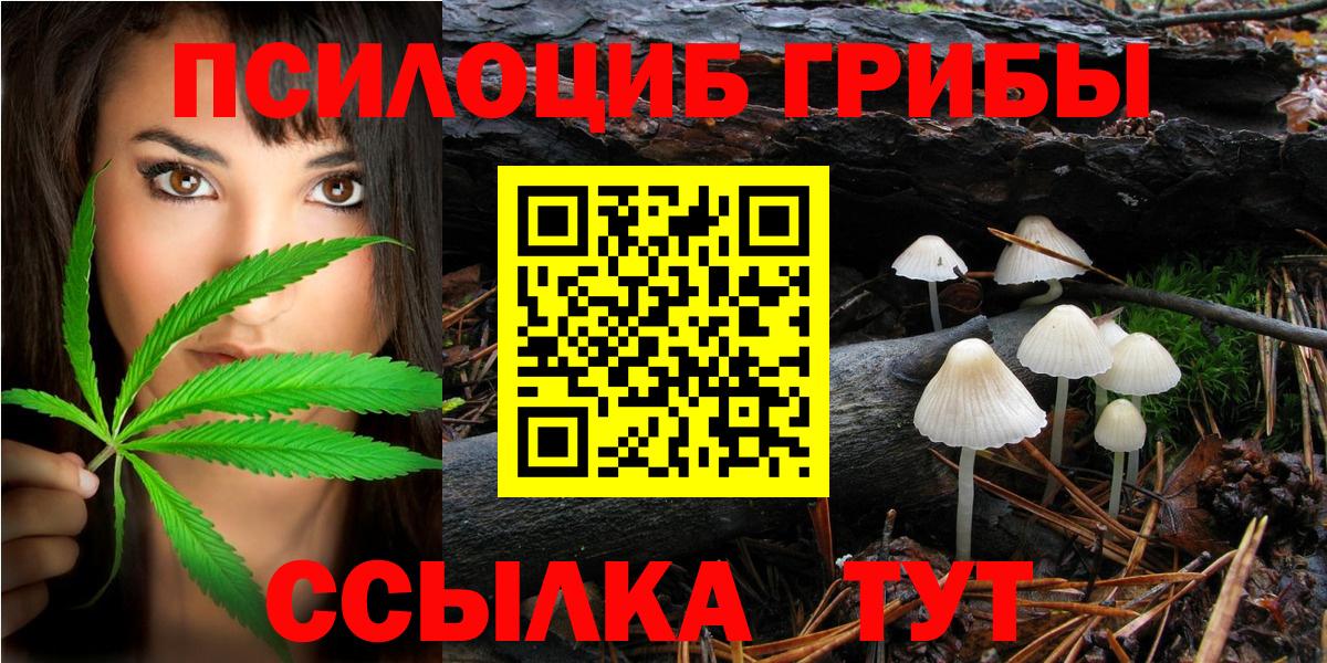 Галлюциногенные грибы Cubensis  где найти   Кохма  Вход с VPN  Галлюциногенные грибы мухоморы 