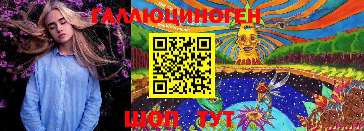 Псилоцибиновые грибы GOLDEN TEACHER Кохма